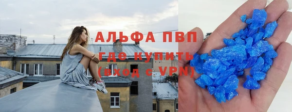 стаф Ростов