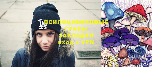 стаф Ростов