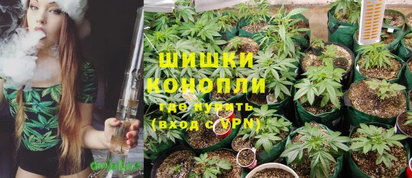 трава Абаза