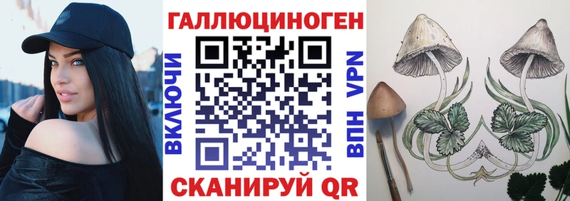 сколько стоит  Касли  Псилоцибиновые грибы мухоморы 